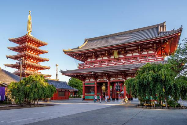 Japonya ve Güney Kore Kültür Programı görseli